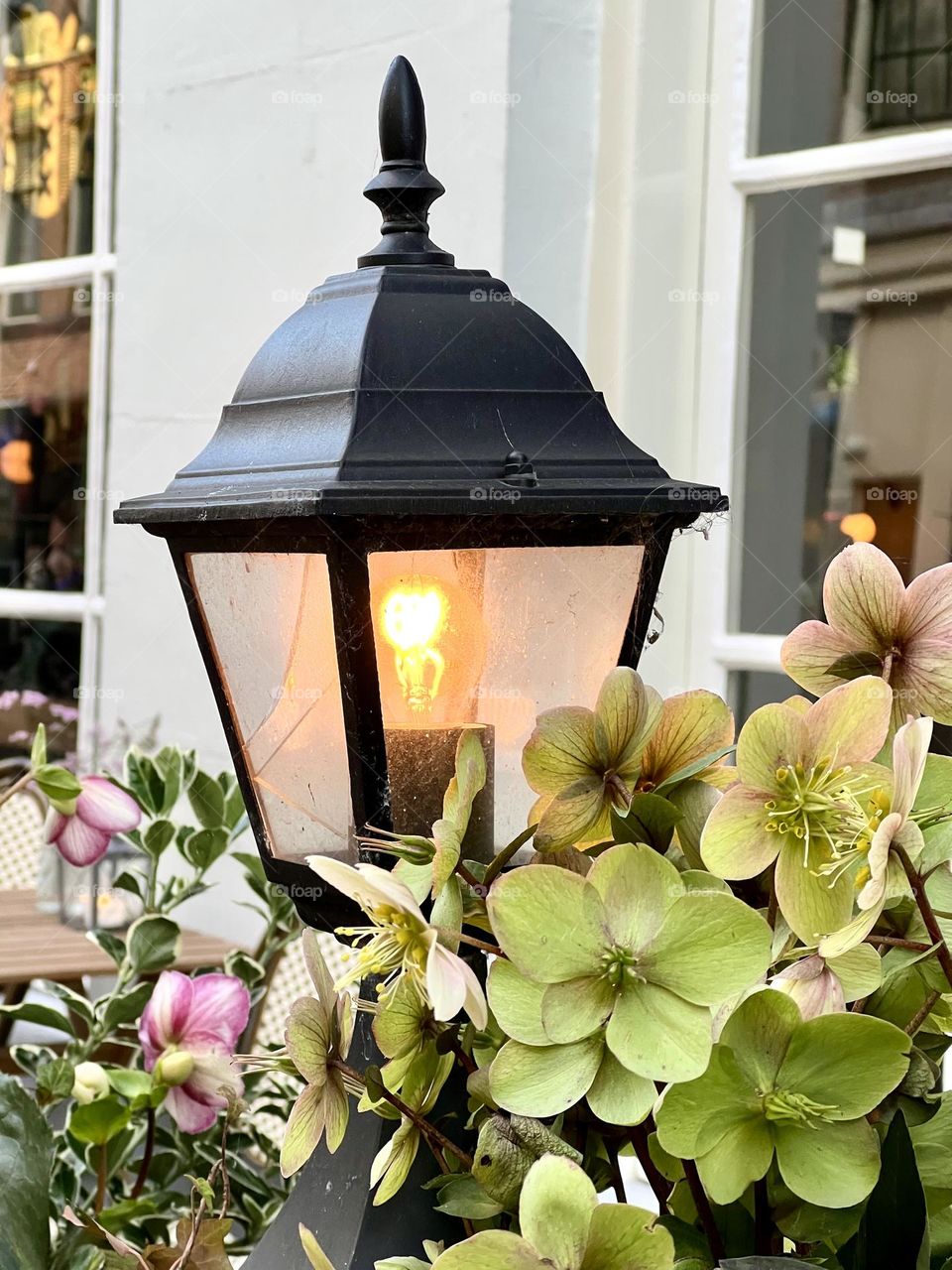 A street lamp is decorated with live orchids against the backdrop of the Amsterdam cityscape. The combination of artificial lighting and delicate flowers creates an atmosphere of elegance and harmony.
