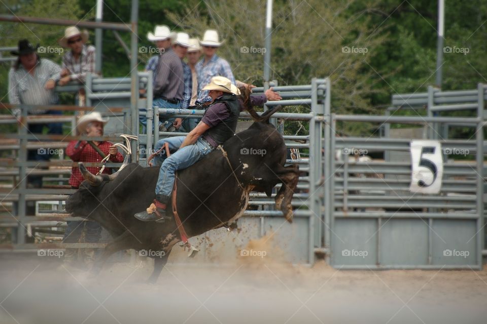 at the rodeo