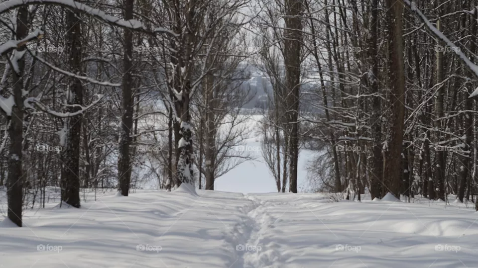 winter