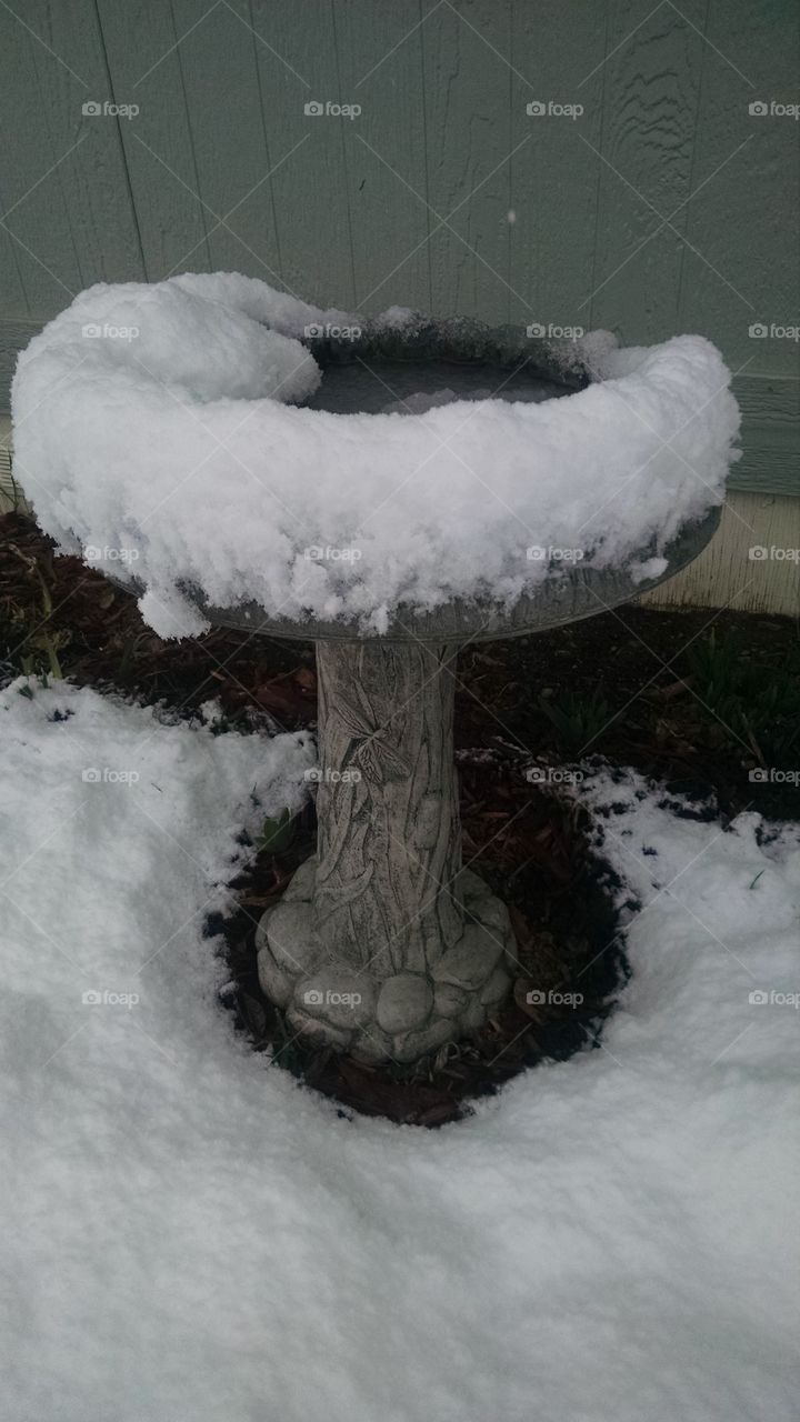 Spring Birdbath Snow Again