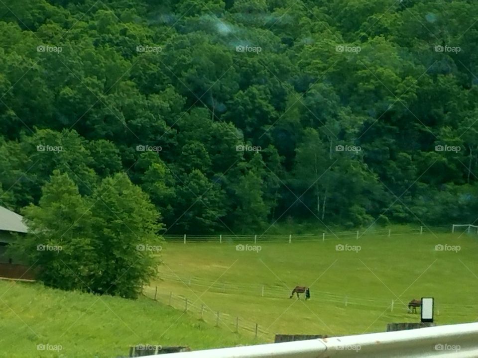 Driving the Back Roads and enjoying everything around us