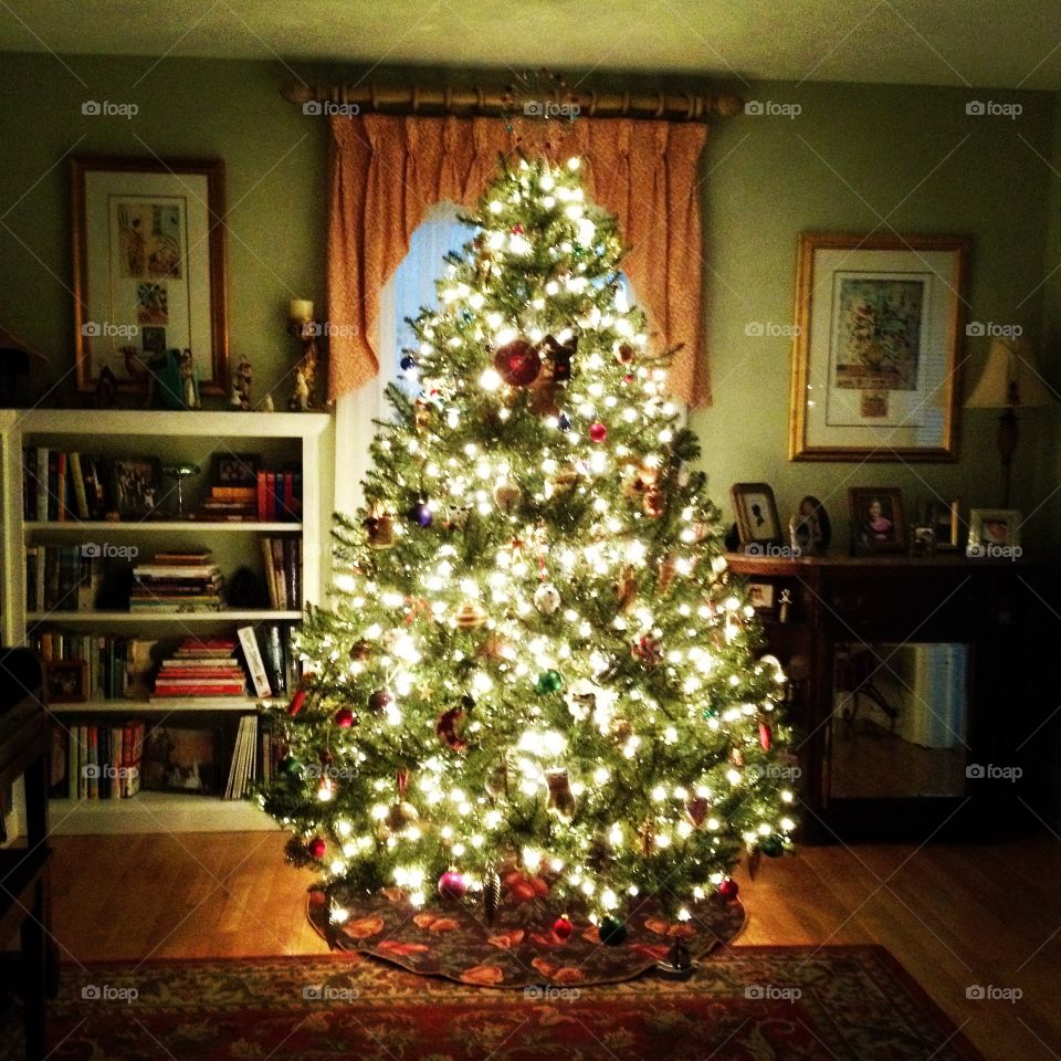 Bright Christmas tree spreading holiday cheer.