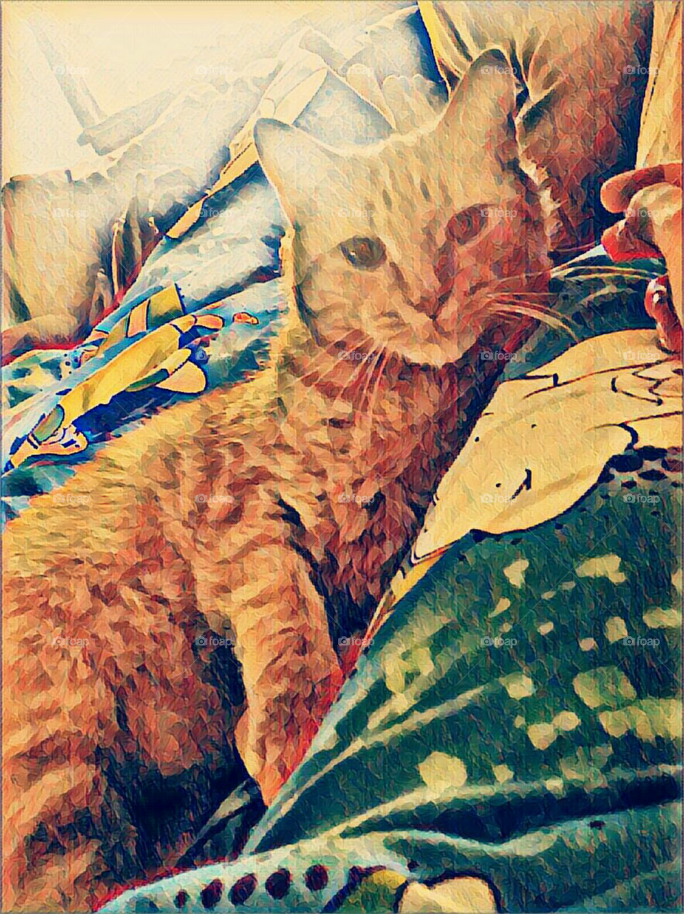 Cat edited on Prisma