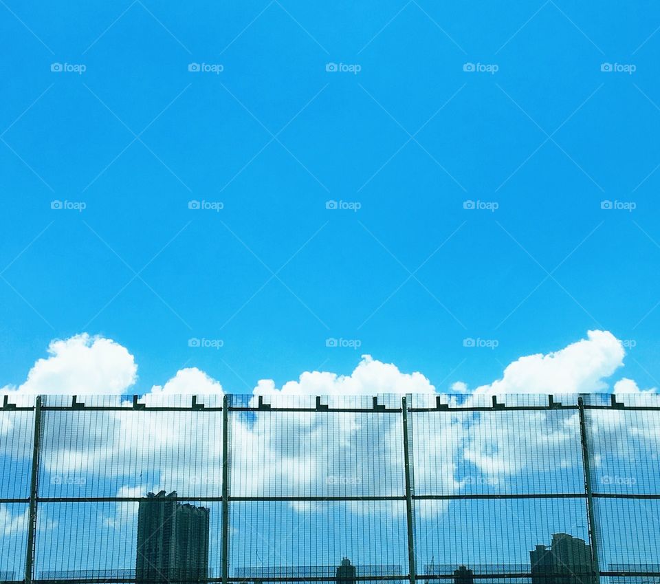 Looking through the fence