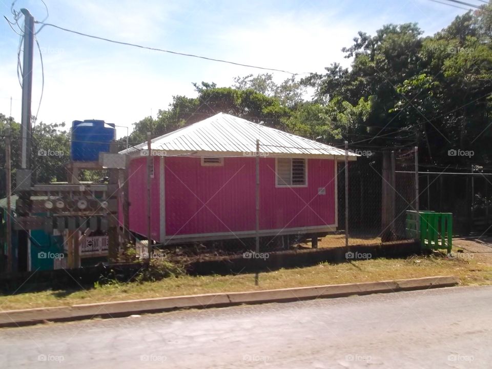 Photo from moving car traveling in Roatan, Honduras