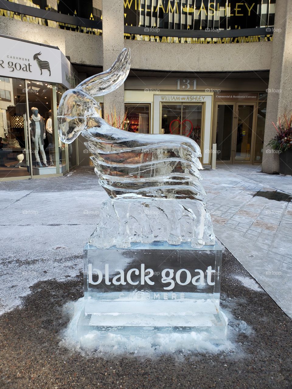frozen goat