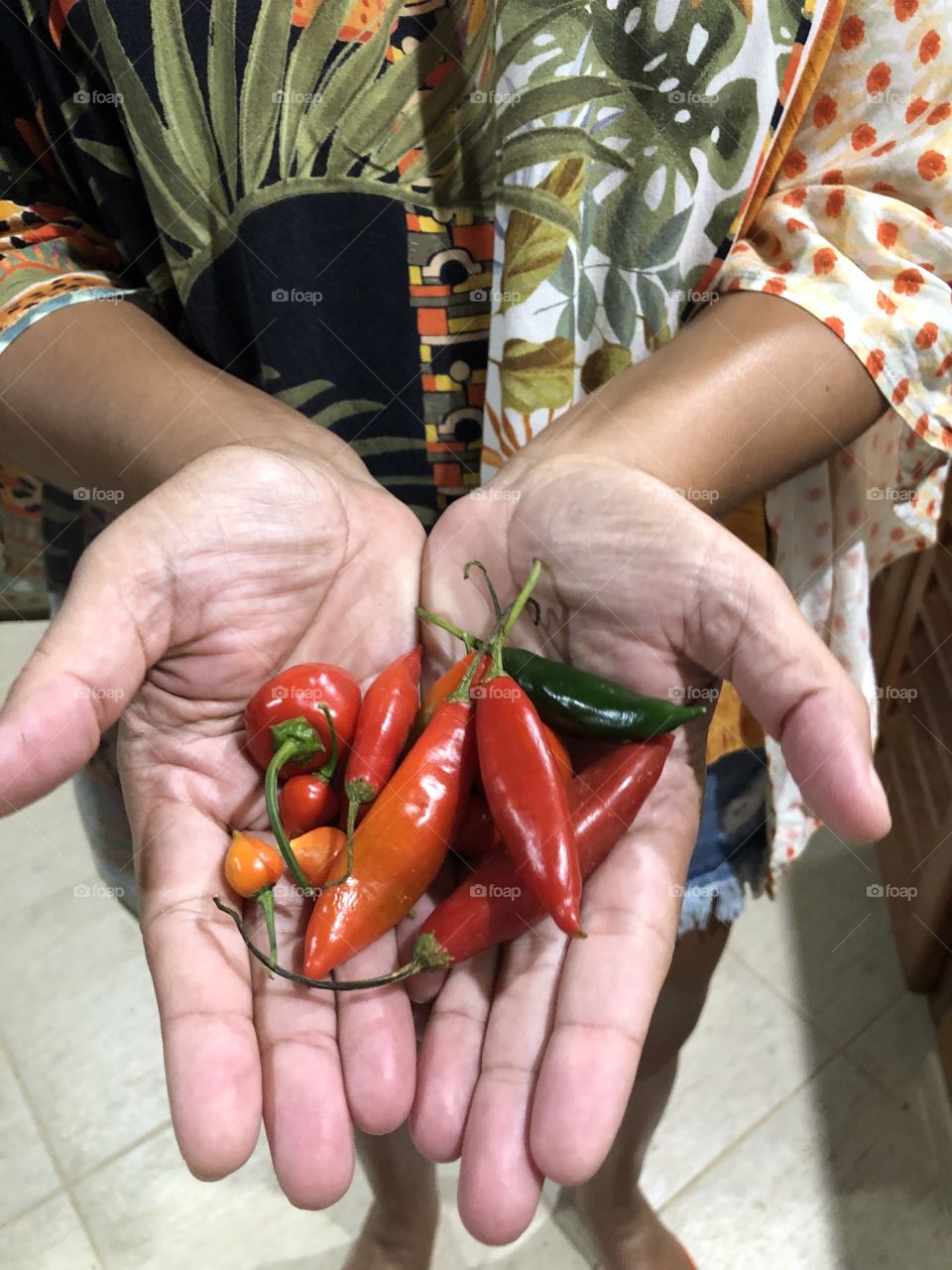 Mãos com pimentas 