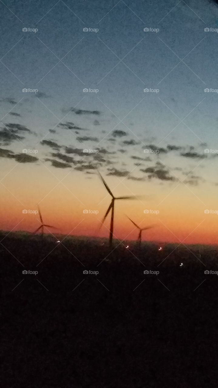 windmills at dawn