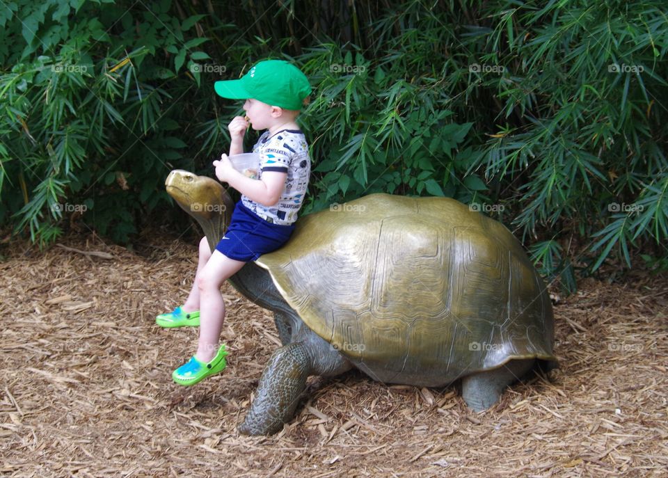 Boy On Tortoise