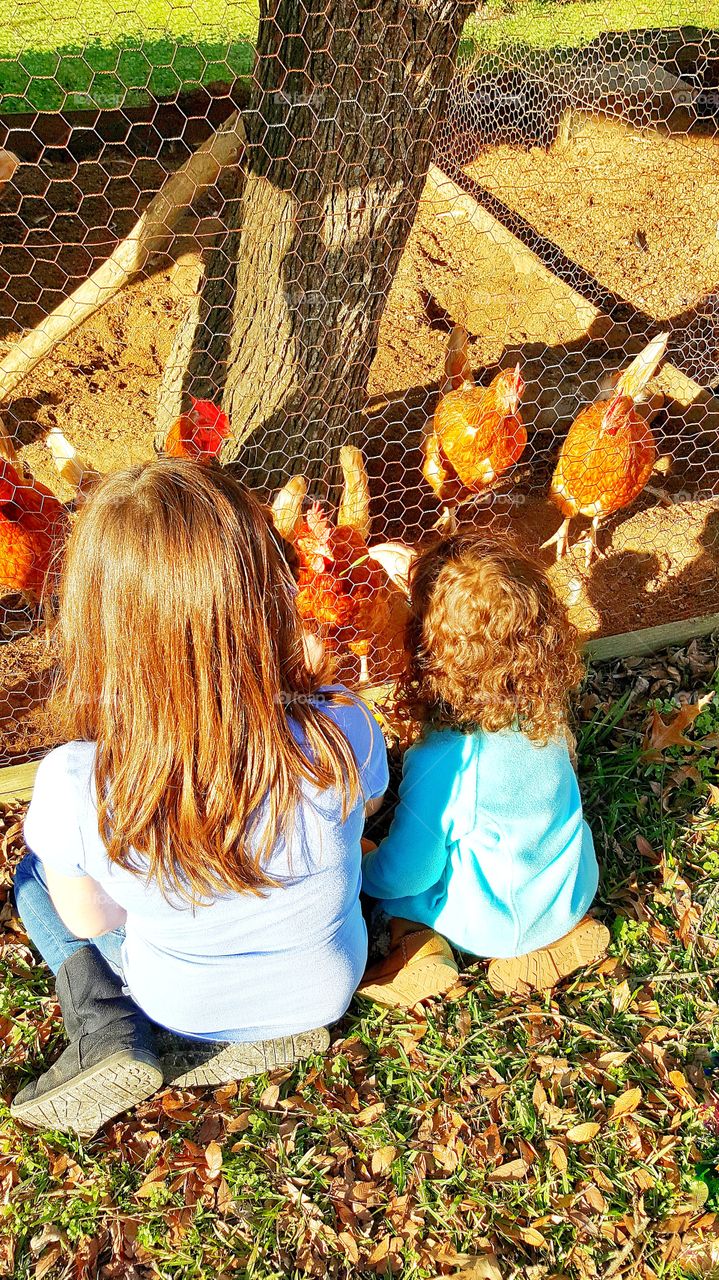 girls feeding chickens grass outdoors