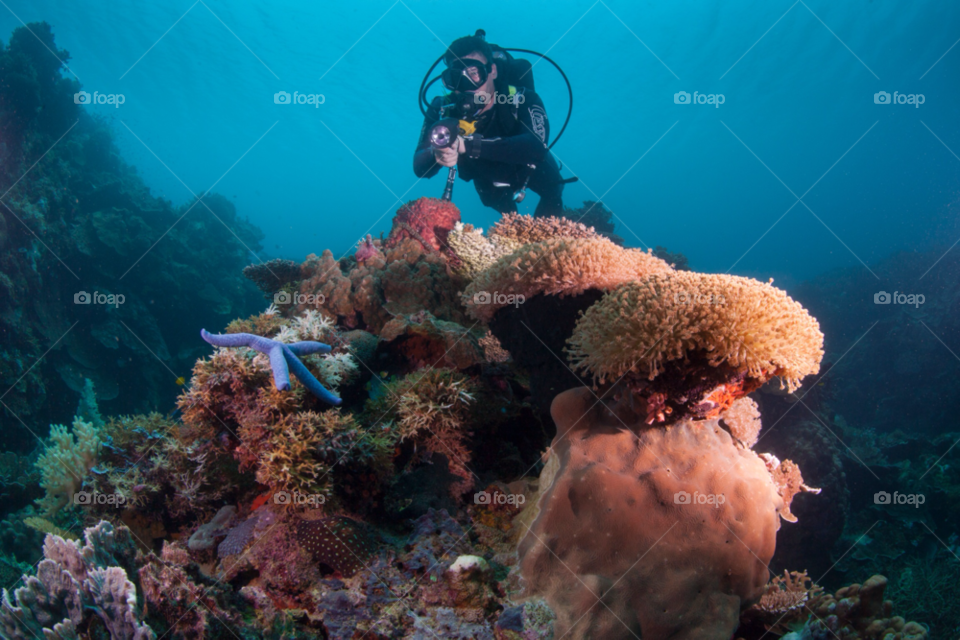 environment philippines cebu underwater by paulcowell