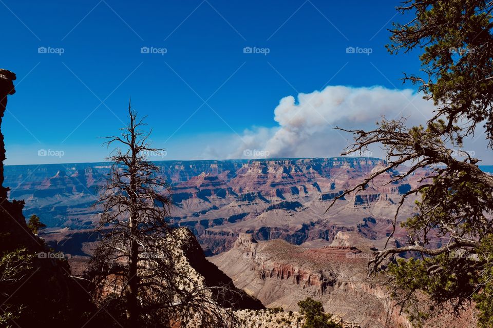 Grand Canyon smoking