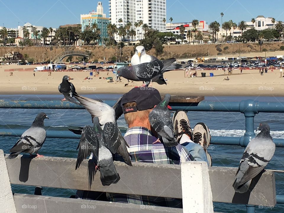 Man feeding birds. 