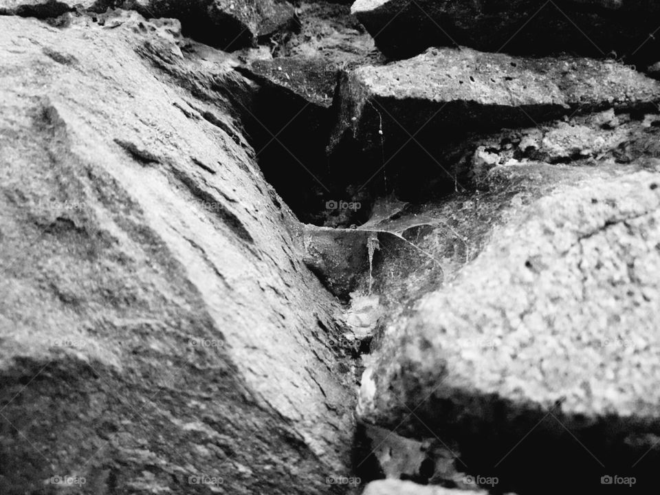 spider web in rocks
