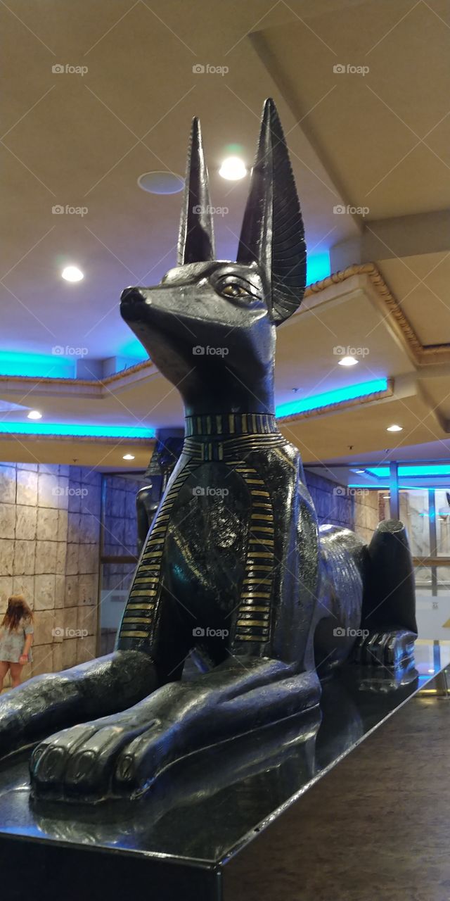 anubis
