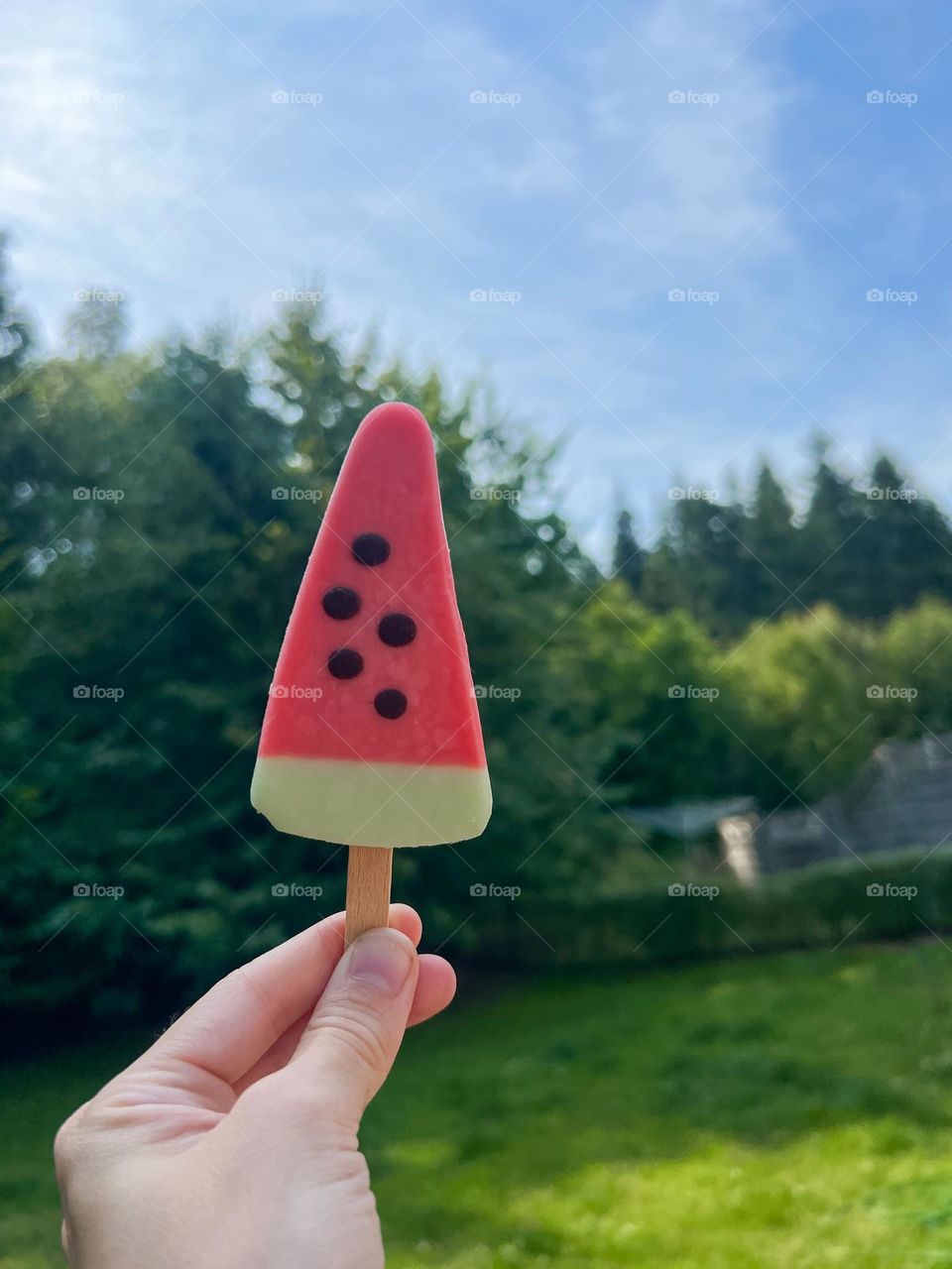 A watermelon ice cream 
