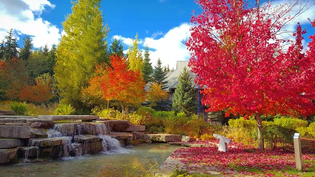 Fall