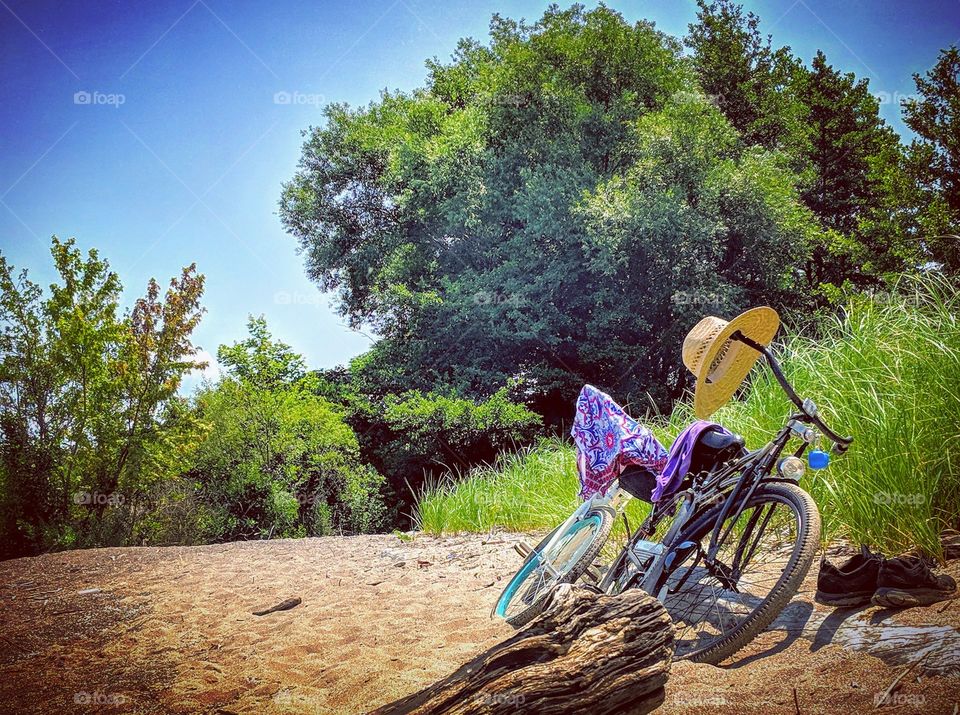 Take the Nostalgic Way Home (Series)