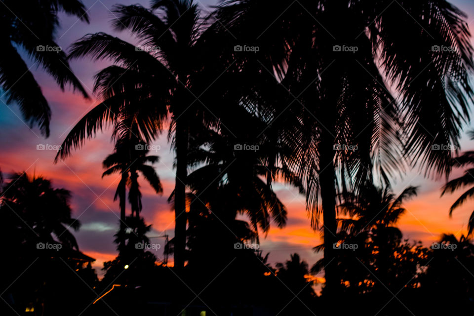 Sunset on Little Cayman
