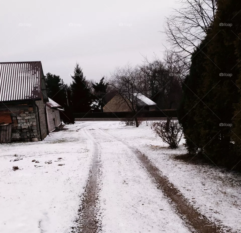 winter