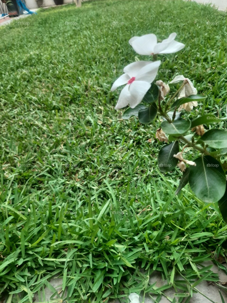 nature is what we call a place free from humans