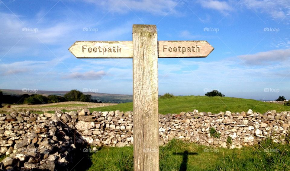 Which way shall I go?!