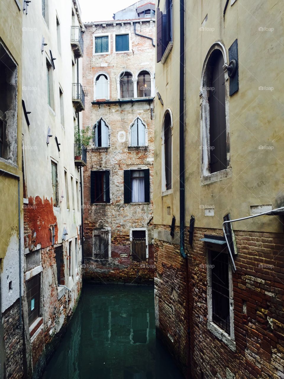Venetian Windows 
