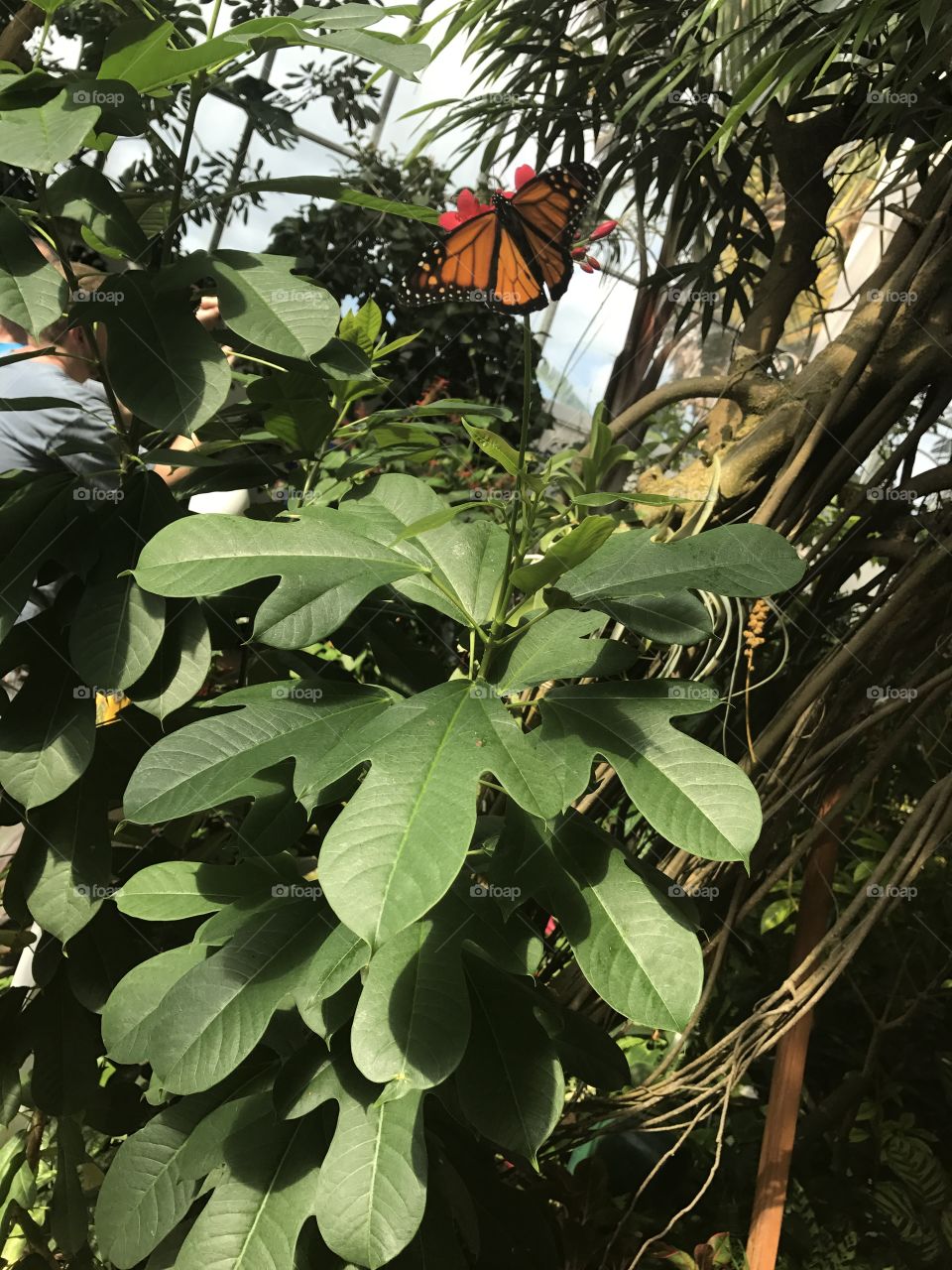 Playing Where’s Waldo, are we?