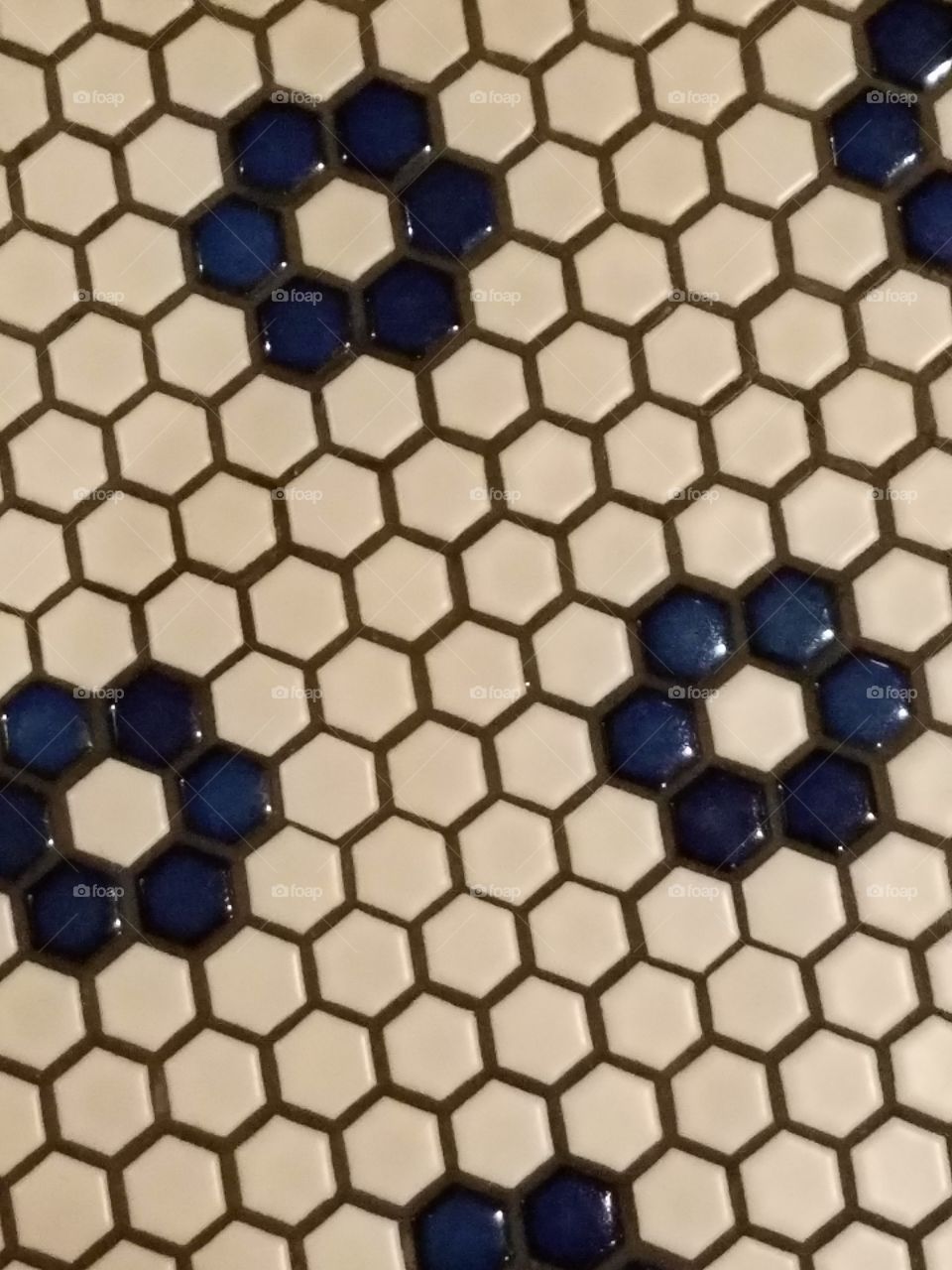 white and blue ceramic hexagon tile with dark grout
