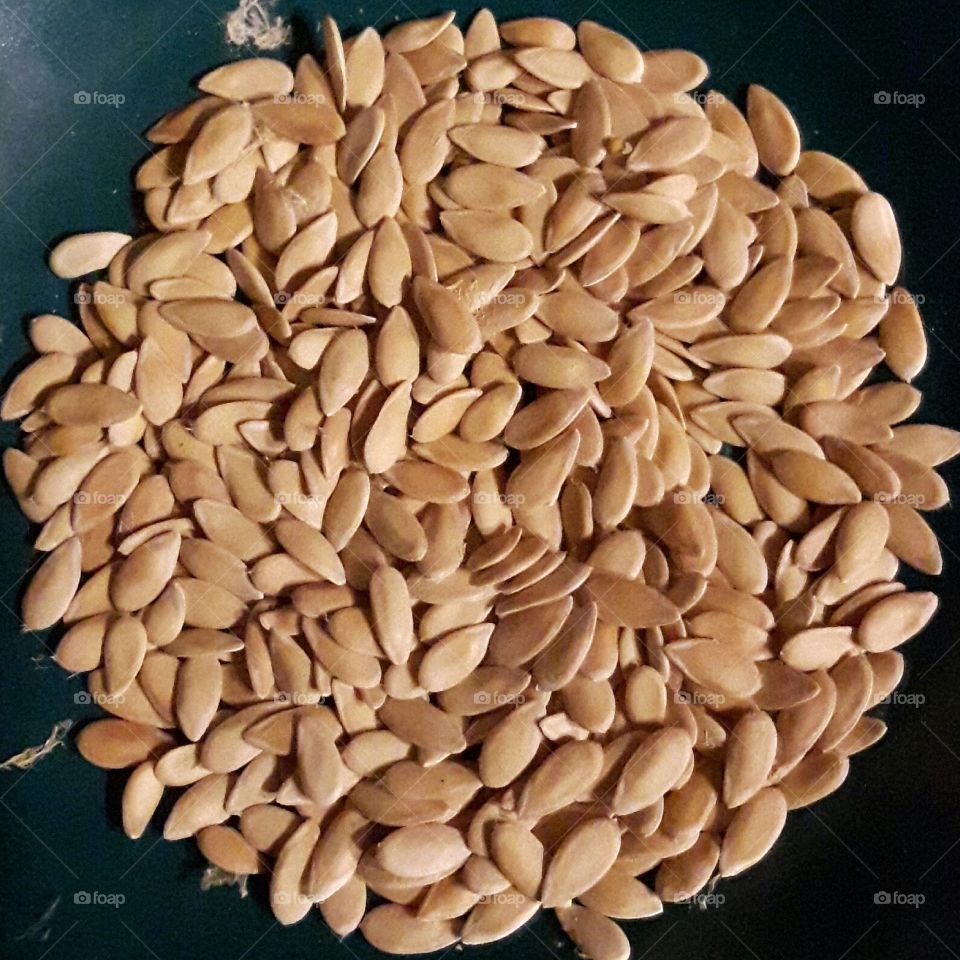 melon seeds