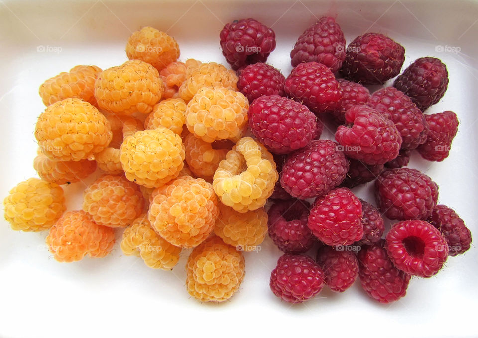 Yellow and red raspberry