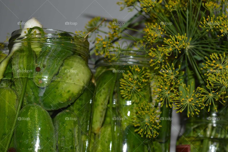 Polish inventory for the winter- Homemade Cucumber pickles preparations