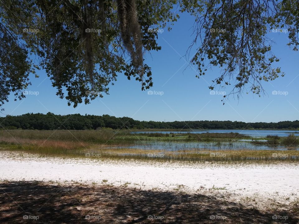 Beautiful lake view