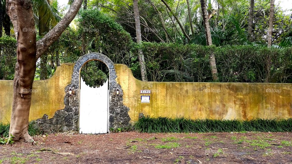 Coconut Grove Doorway - Driving to the Coconut Grove Arts Festival, we passed this amazing door lines with limestone.