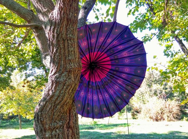 broken umbrella on a tree сломанный зонт на дереве