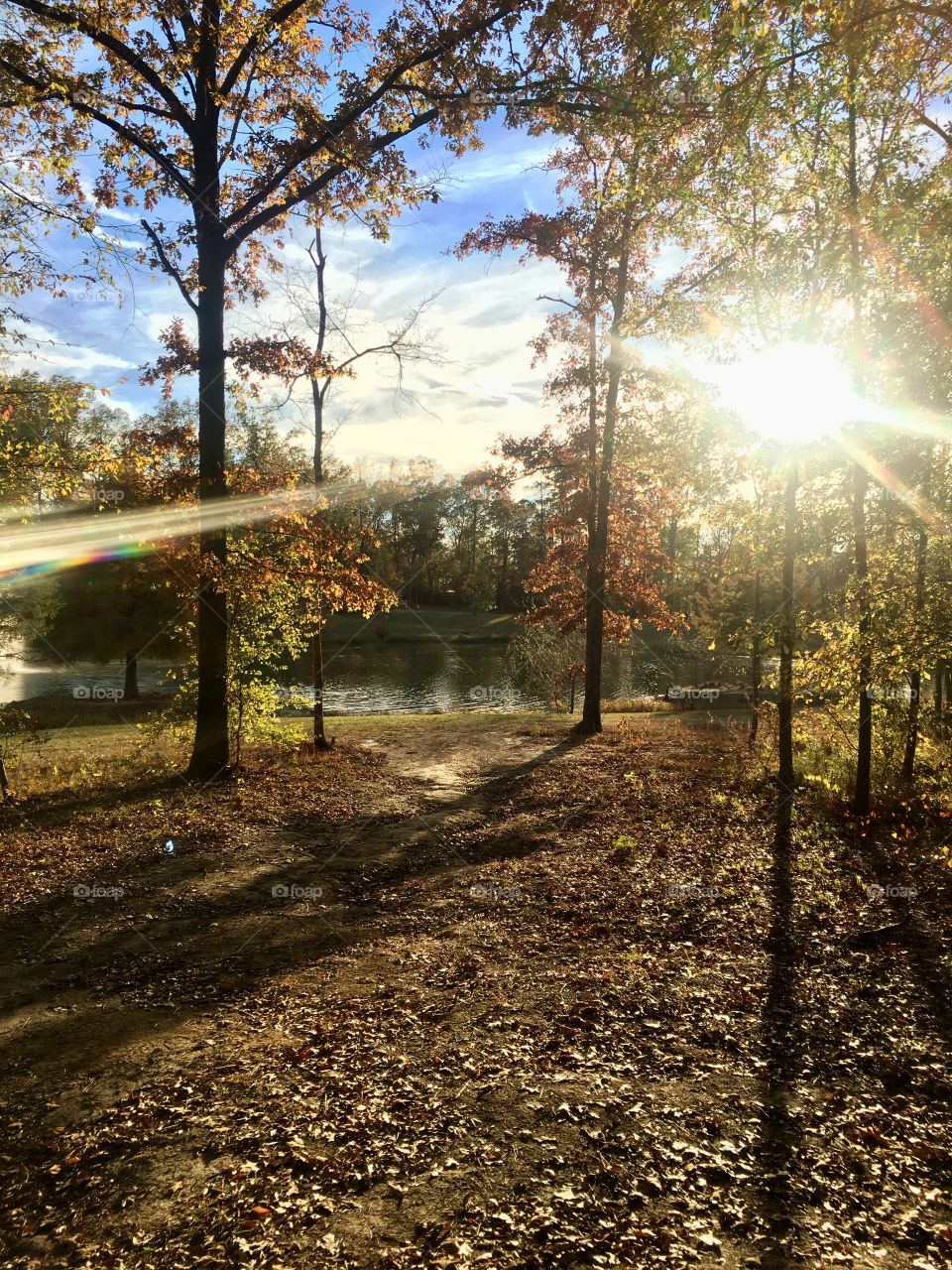 fall sun's calling my name