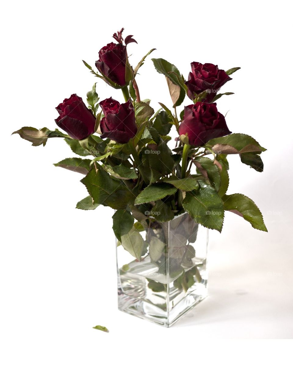 Red roses in a clear glass vase