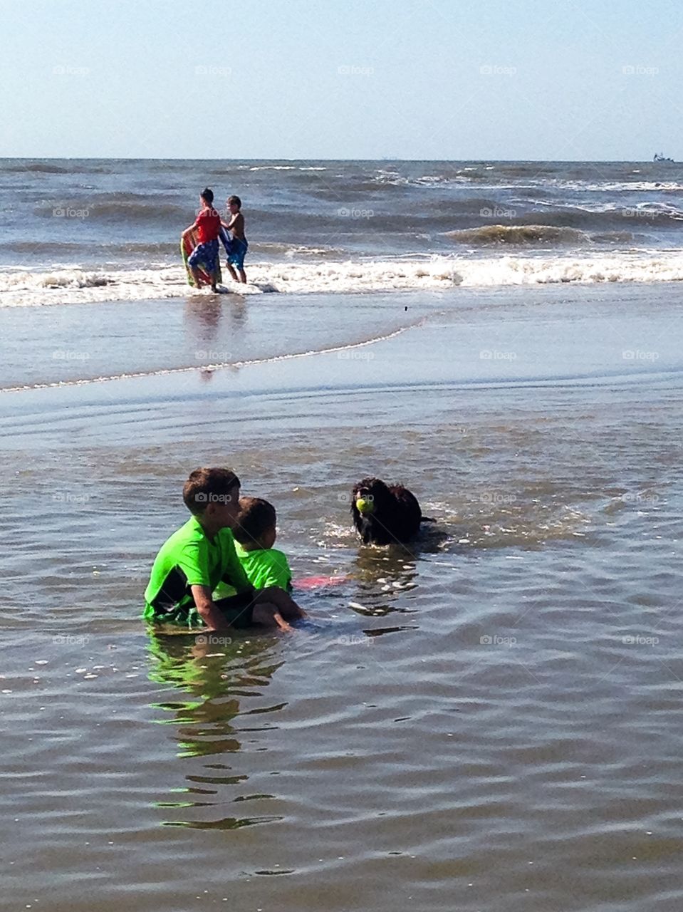 Boys and Dog at Beach