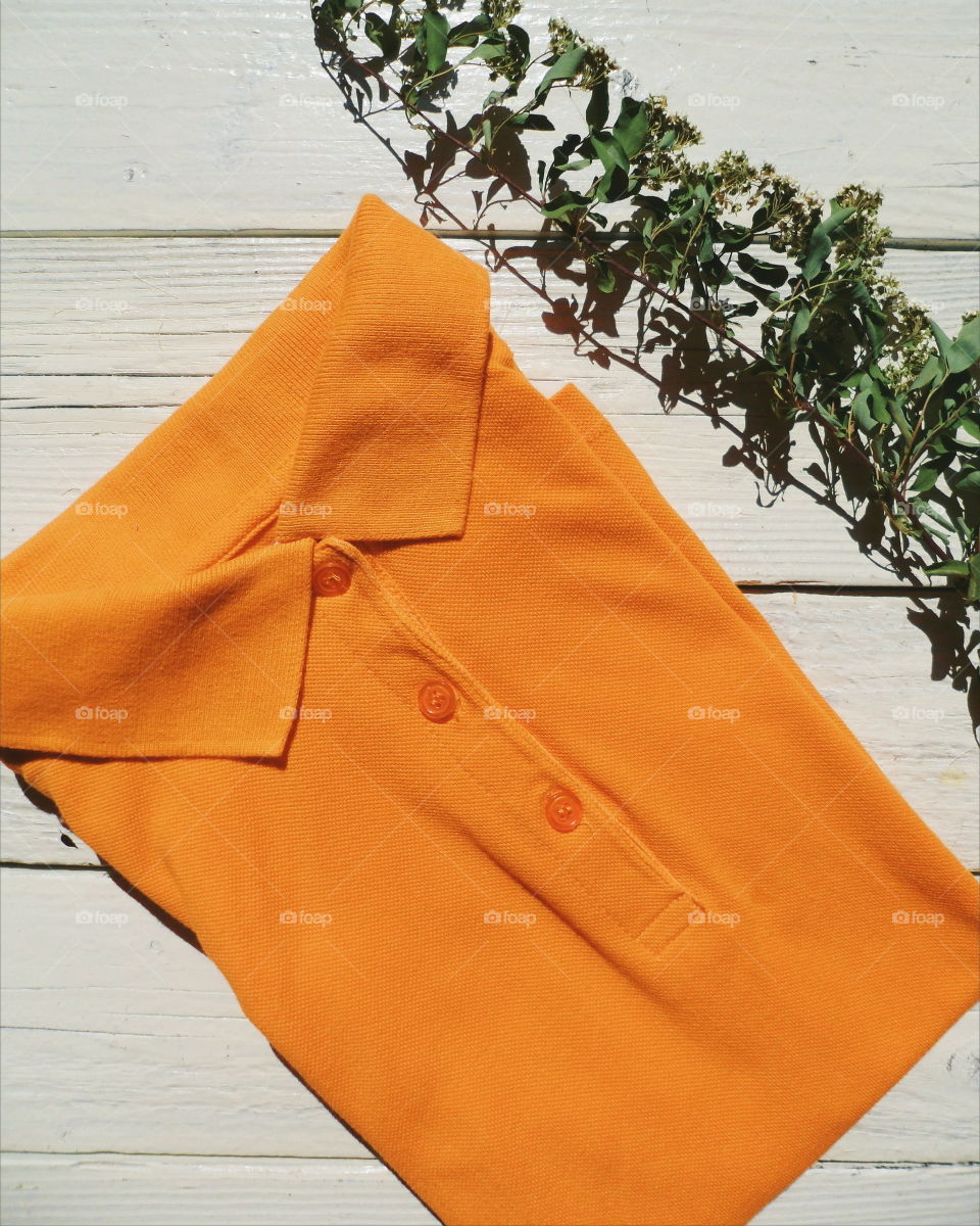 Orange fashion shirt and dry twig of flowers