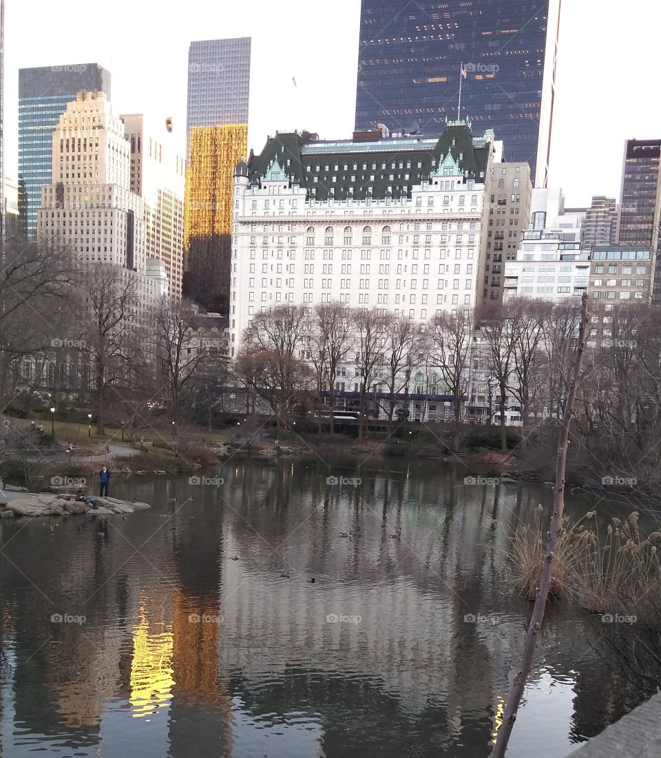 NYC Central Park