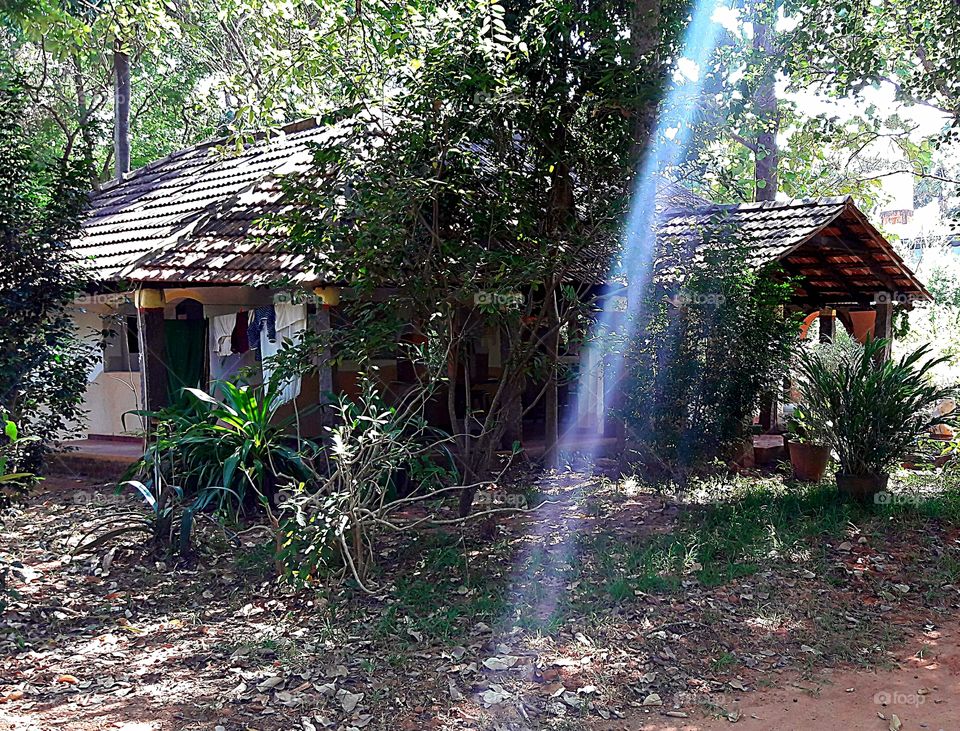 forest, house, sun, Aurovil...