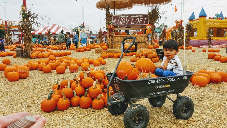 Boy sitting in cart near pumpkin patch