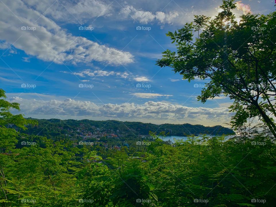 Cielo azul y verde por todos lados 