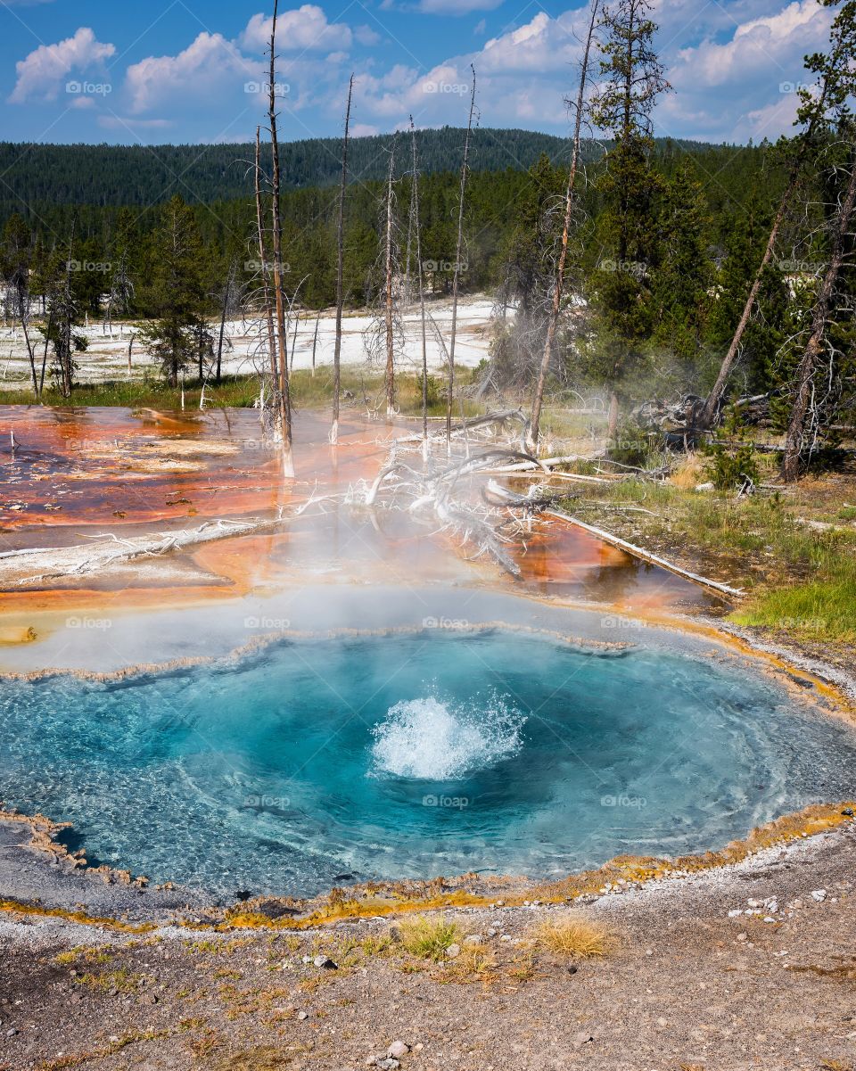 Bubbling thermal pools in Yellowstone national Park, Wyoming 