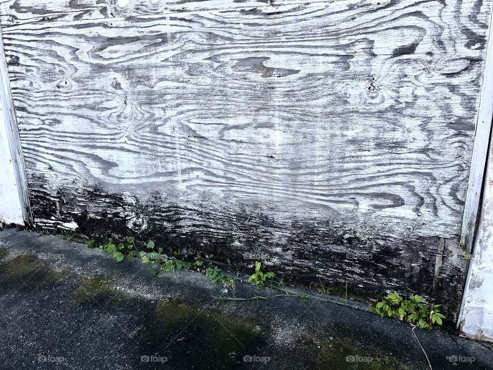 Old Garage Door