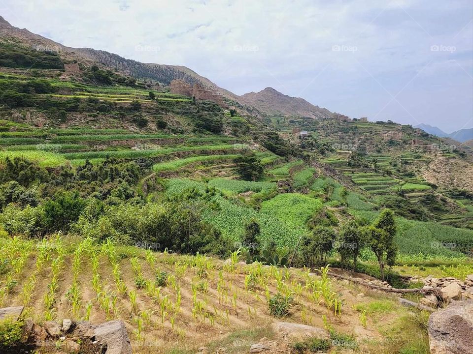 Glory be to God, the magnificent and picturesque view and the natural green trees are a view that is nothing more wonderful than it