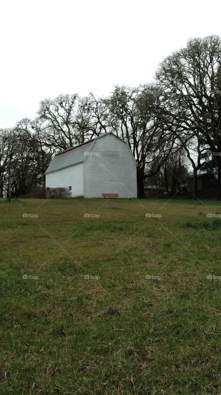 Landscape, No Person, House, Grass, Agriculture