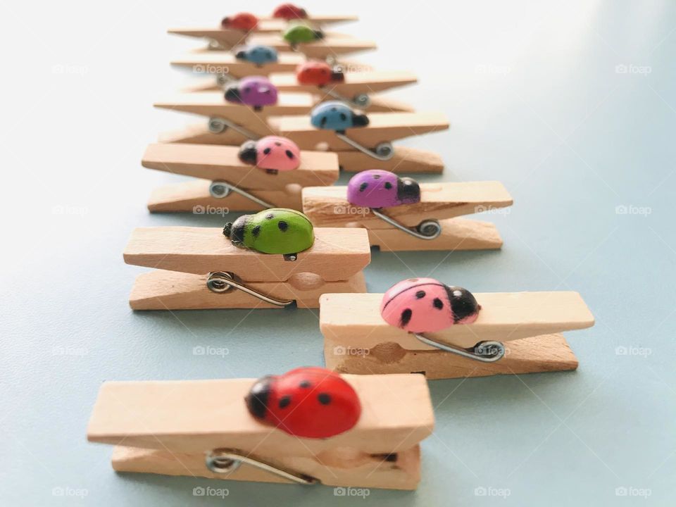Multi colour Ladybug wooden clips kept in a zigzag row.
