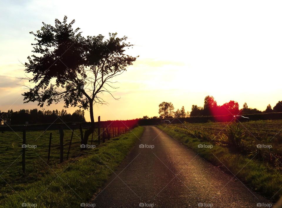 landscape in sunset