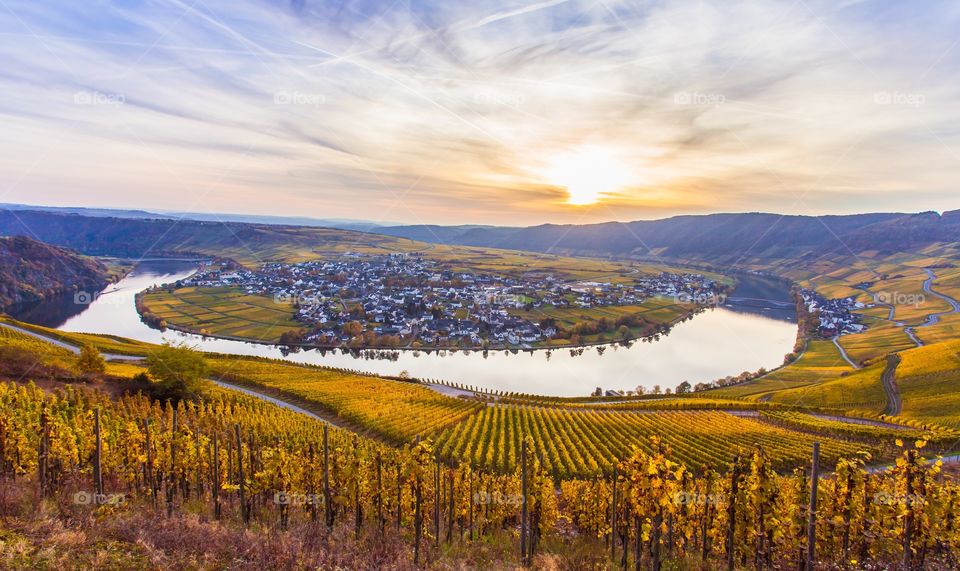 Moselle river and vineyards at Piesport Germany 